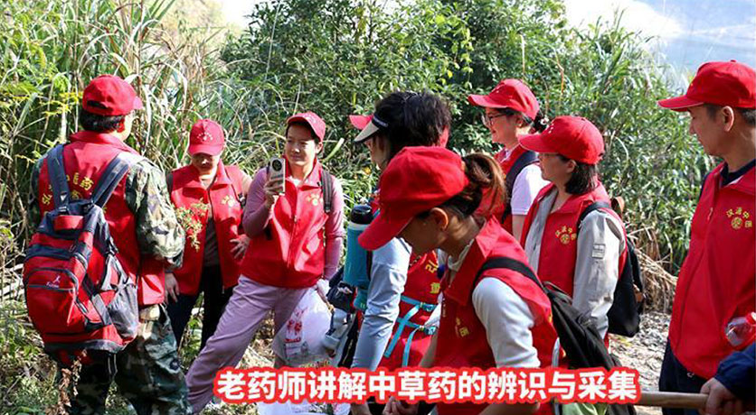 老药师讲解中草药的辨识与采集